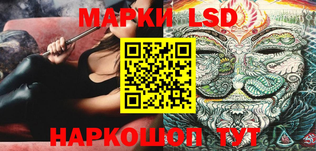 Сальск  Марки N-bome 1500мкг  Марки N-bome  Марки N-bome 1500мкг  Вход с VPN 