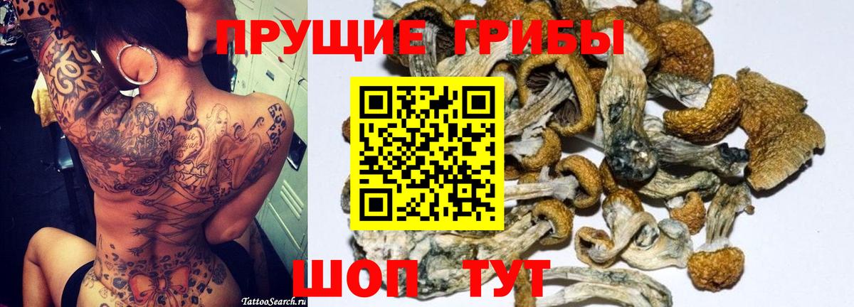 Псилоцибиновые грибы Magic Shrooms  Вход с VPN  Сальск 